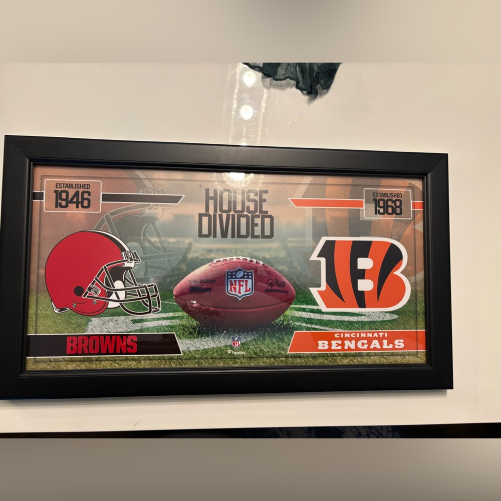 NFL Browns and Bengals House Divided Poster - Red, Orange, Black